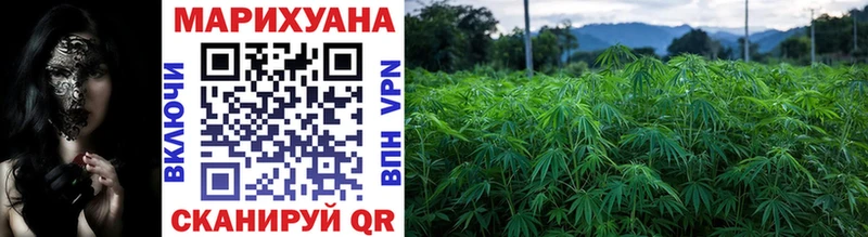 darknet наркотические препараты  Лабинск  Бошки марихуана ГИДРОПОН 